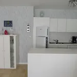 Gabbiano De Witte Meeuw