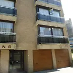 Gabbiano De Witte Meeuw *