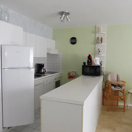 Gabbiano De Witte Meeuw Koksijde