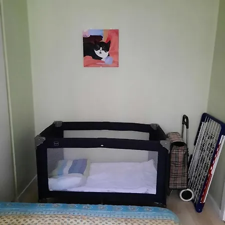 Gabbiano De Witte Meeuw