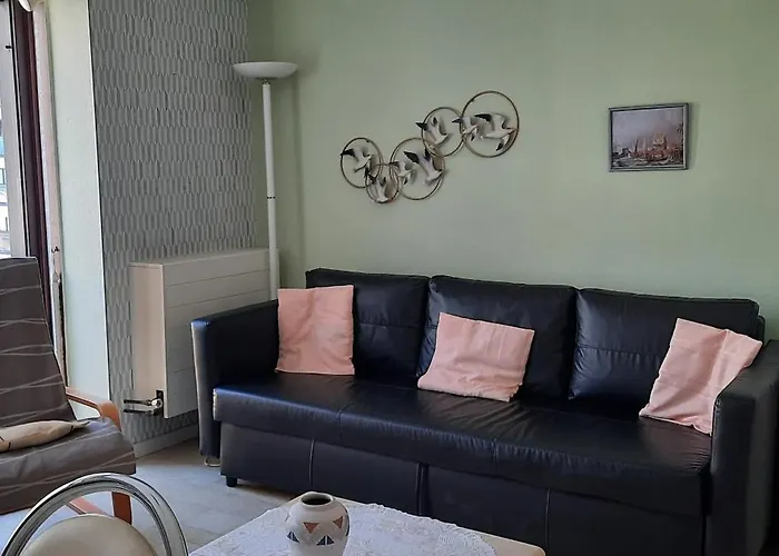 Gabbiano De Witte Meeuw *